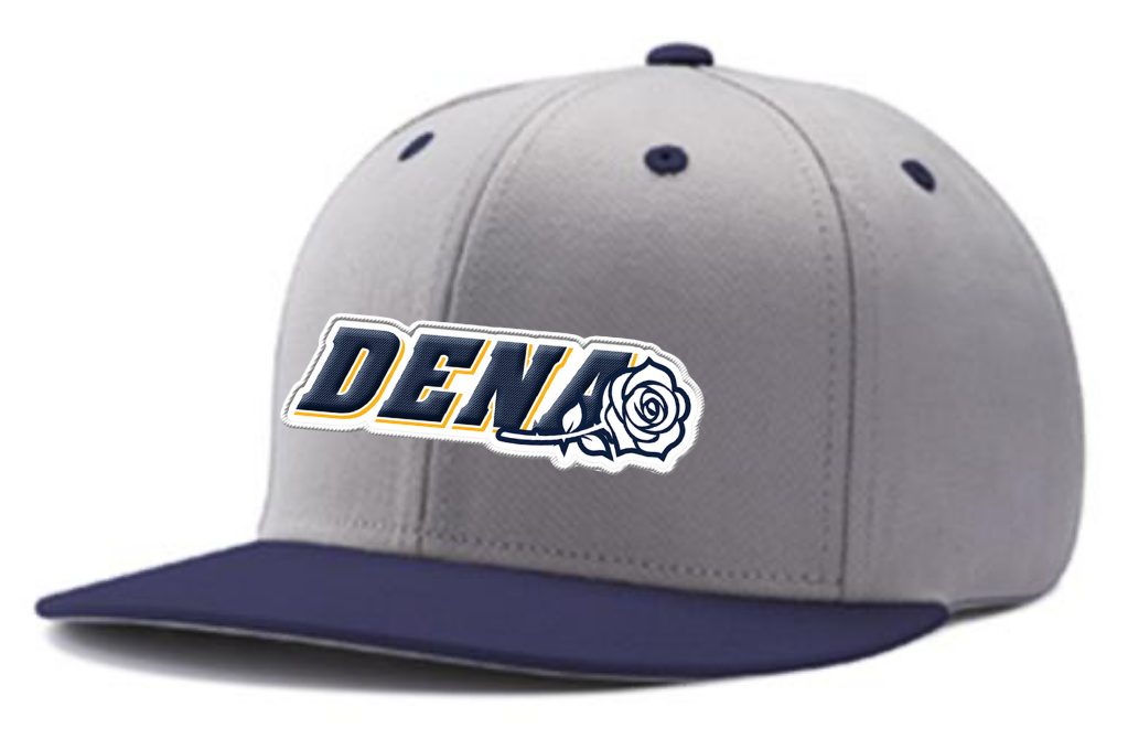 PGSA Snapback Hat, Grey/Navy (Embroidered DENA)
