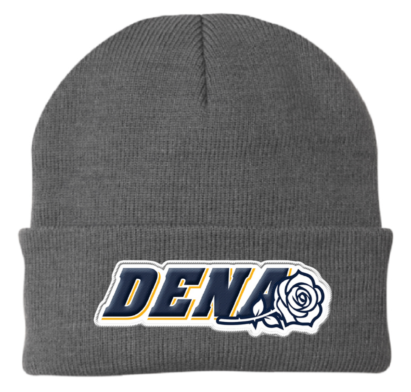 PGSA Beanie, Navy (DENA Logo)