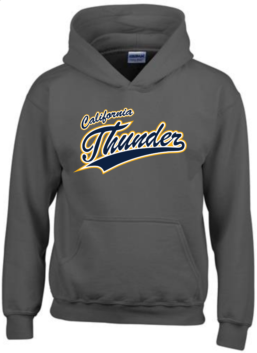 CT Hoodie, Navy w/Gold Thunder Logo