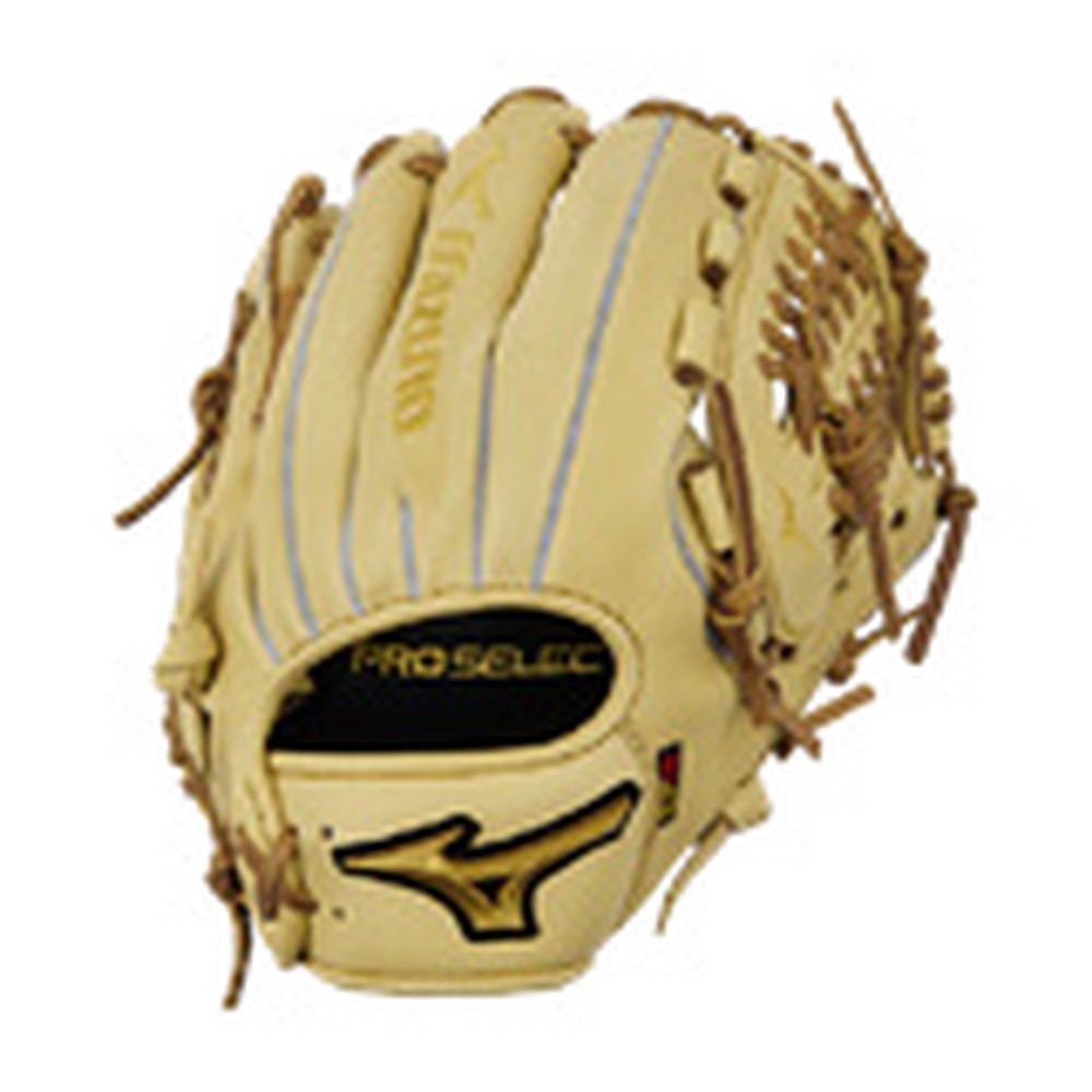Mizuno Pro Select Baseball Glove GPS-10D